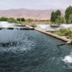 افتتاح ۱۴ هزار میلیارد تومان پروژه شیلاتی در هفته دولت