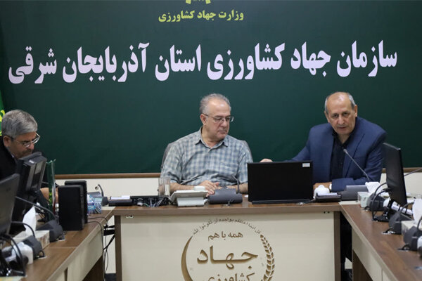 امنیت غذایی آذربایجان‌شرقی در گرو پرداخت به‌موقع مطالبات گندمکاران است
