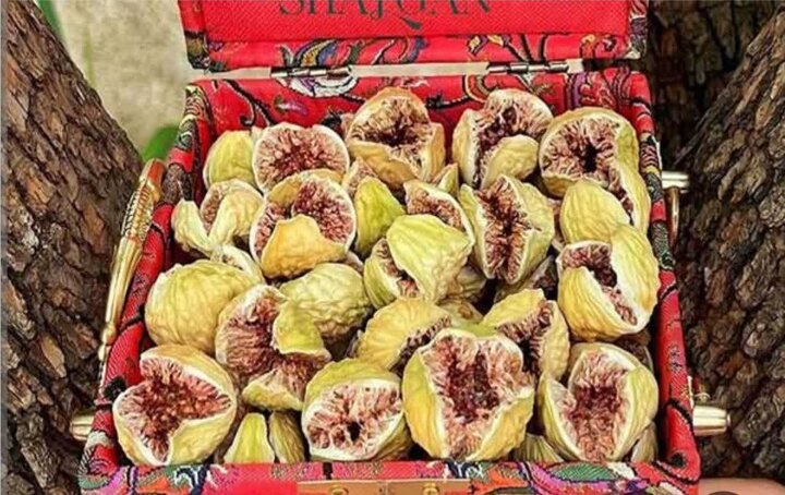 انجیر گلوگاه طعم بهشتی دارد؛ باغ‌هایی که مقصد گردشگران است