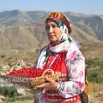 برگزاری نهمین دوره جشنواره زغال‌اخته در شهرستان کلیبر