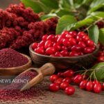 تبریز میزبان طعم ارسباران؛ جشنواره زغال‌اخته و سماق برگزار می‌شود