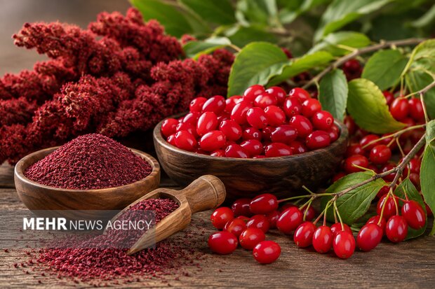 تبریز میزبان طعم ارسباران؛ جشنواره زغال‌اخته و سماق برگزار می‌شود