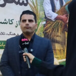 تلاش برای ثبت «روز بندر کیاشهر»؛ جشنواره صیادی در راه است