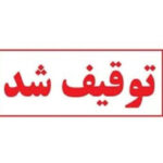 توقیف ٢۵ خودروی متخلف طی ۲۴ ساعت اخیر در بندرعباس