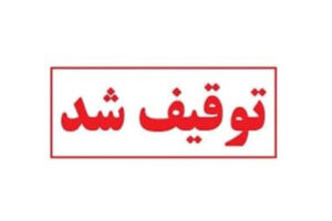 توقیف ٢۵ خودروی متخلف طی ۲۴ ساعت اخیر در بندرعباس