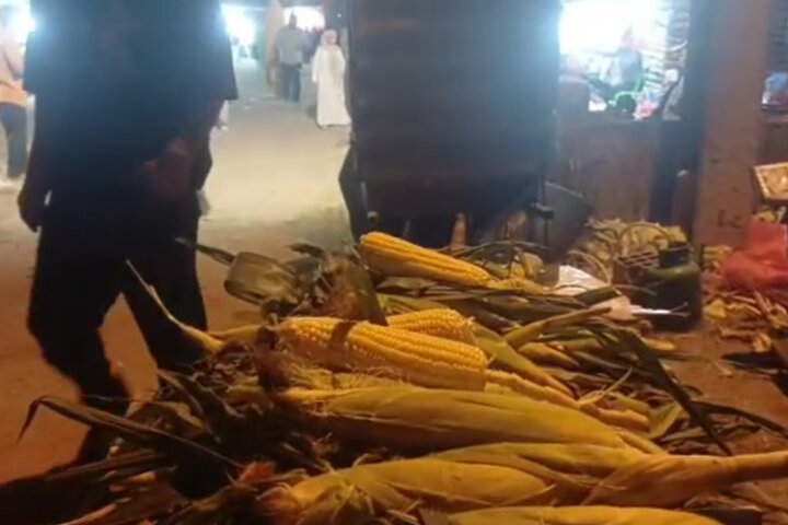 جشنواره ملی شیر بلال در سیمرغ