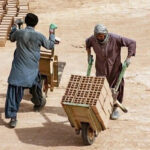 جمع آوری اتباع غیرمجاز در تبریز