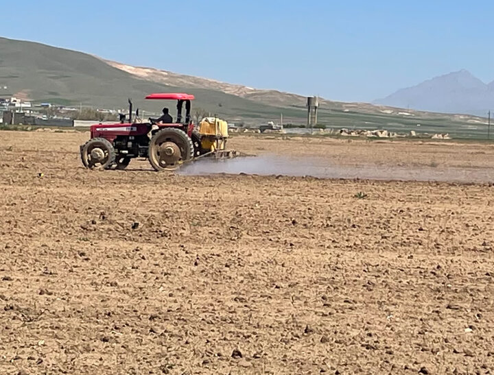 دانههای کوچک و رکورد بزرگ؛ مکانیزاسیون به مزارع نخود رسید دانههای کوچک و رکورد بزرگ؛ مکانیزاسیون به مزارع نخود رسید