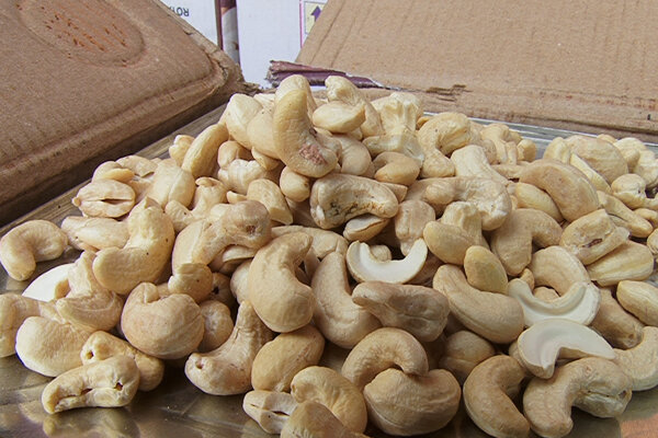 درمان آلرژی به بادام زمینی با پیوند مدفوع