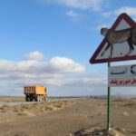 دریکوند: رانندگان در زیستگاه یوزهای خراسان شمالی احتیاط کنند
