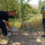 دستگیری متخلفان زنده‌گیری پرندگان در بروجن