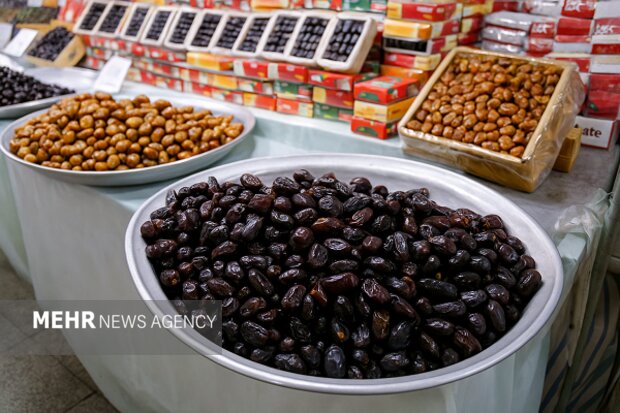 سردی قیمت ها در خرماپزان بم؛ خرما در نخلستان ۵۰ در تهران۵۸۰ هزار تومان