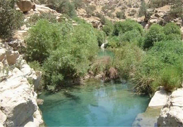 سیاه‌گاو؛ ظرفیت مغفول گردشگری آبدانان در دل طبیعت ایلام