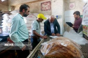 عدم رعایت بهداشت باعث پلمب یک نانوایی در زابل شد