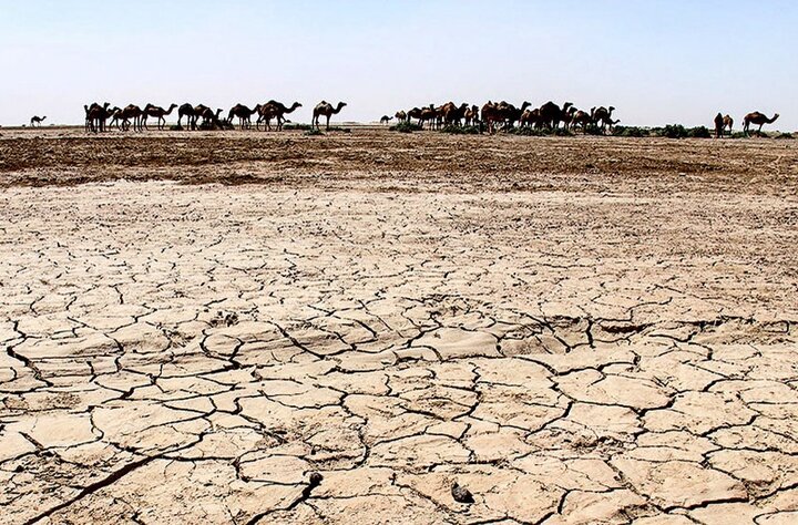  لزوم احیای تالاب جازموریان؛ بستر حوضه آبی تبدیل به کانون گردوغبار شد