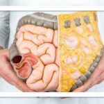 نقش پیاده‌روی روزانه در کاهش چربی احشایی بدن