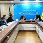 کارگاه‌های کاربردی رایگان برای اعضای سازمان نظام روانشناسی برگزار می‌شود