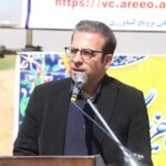 کاشت ۱۶۰ هکتار آفتاب‌گردان در دورود برای نخستین‌بار