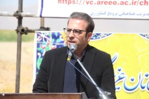 کاشت ۱۶۰ هکتار آفتاب‌گردان در دورود برای نخستین‌بار