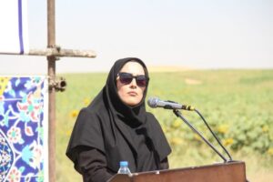کاشت ۲۱۰ هکتار آفتاب‌گردان در لرستان