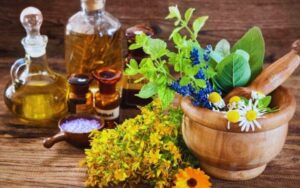 گنجینه سبز سیستان و بلوچستان؛ فرصت‌های طلایی در گیاهان دارویی