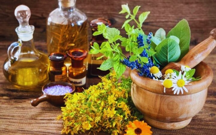 گنجینه سبز سیستان و بلوچستان؛ فرصت‌های طلایی در گیاهان دارویی