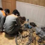 ۱۱ فقره سرقت در کنگان کشف شد؛ دستگیری ۲ سارق