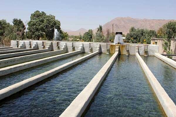 «آب» برای لرستان «نان» می‌شود؛ ماهی‌ها در مسیر فتح بازار