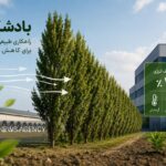 بادشکن‌ها؛ ظرفیت مغفول برای مهار مصرف انرژی در کشور