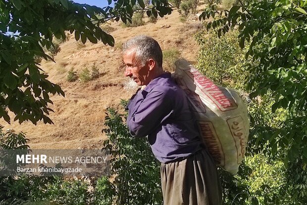 نبض تولید در روستاها با مهاجرت معکوس؛ فرصتی طلایی برای آبادانی محلات