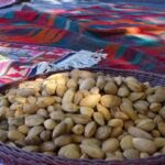 جشنواره بادام و عسل بیلوار ثبت ملی شد