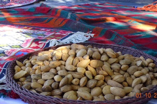 جشنواره بادام و عسل بیلوار ثبت ملی شد