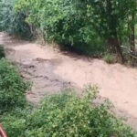 سیلاب ۳۷۸ میلیارد تومان به بخش کشاورزی ساری خسارت زد