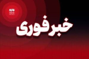 شبکه کلاهبرداری ۷۰۰ میلیارد ریالی در خرید گندم ایلام متلاشی شد