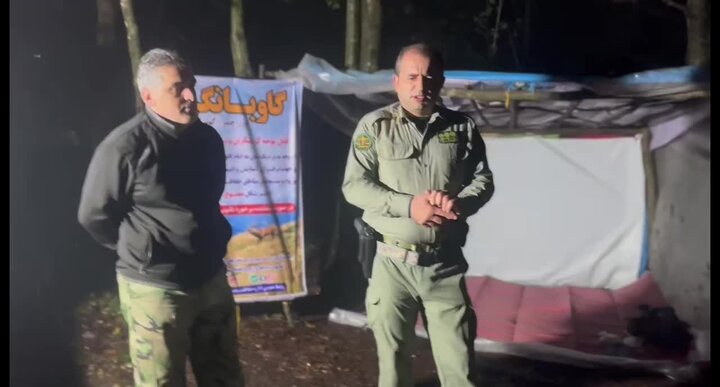 مرال‌ها بیدارند؛ یک شب با نگهبانان جنگل