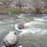 مسیرهای هدایت آب در پارک جنگلی نور ساماندهی می‌شود