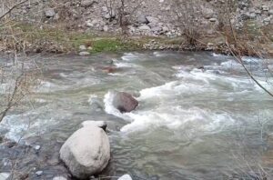 مسیرهای هدایت آب در پارک جنگلی نور ساماندهی می‌شود