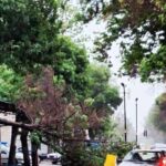هواشناسی: وزش باد در اصفهان افزایش می‌یابد