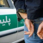 کشف ۱۰فقره سرقت اماکن خصوصی درگناوه؛ سارق دستگیر شد