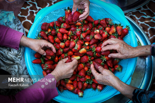 گردشگری کشاورزی؛ فرصتی طلایی برای شکوفایی اقتصاد روستایی خوزستان گردشگری کشاورزی؛ فرصتی طلایی برای شکوفایی اقتصاد روستایی خوزستان