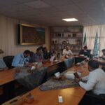 ۶ درخت کهنسال کردستان در مسیر ثبت ملی