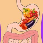 بیماران گوارشی: چه بخوریم و از چه چیزهایی باید اجتناب کنیم