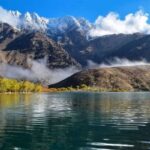 جهانی‌شدن «گهر»؛ پایان یک راه یا آغاز یک مسئولیت؟