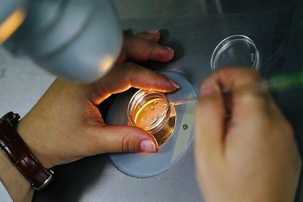 فریز تخمک برای همه زنان مناسب نیست