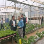 نخستین گلخانه هیدروپونیک هنرستان‌های غرب کشور در سنندج راه‌اندازی شد