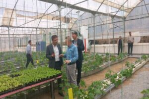 نخستین گلخانه هیدروپونیک هنرستان‌های غرب کشور در سنندج راه‌اندازی شد